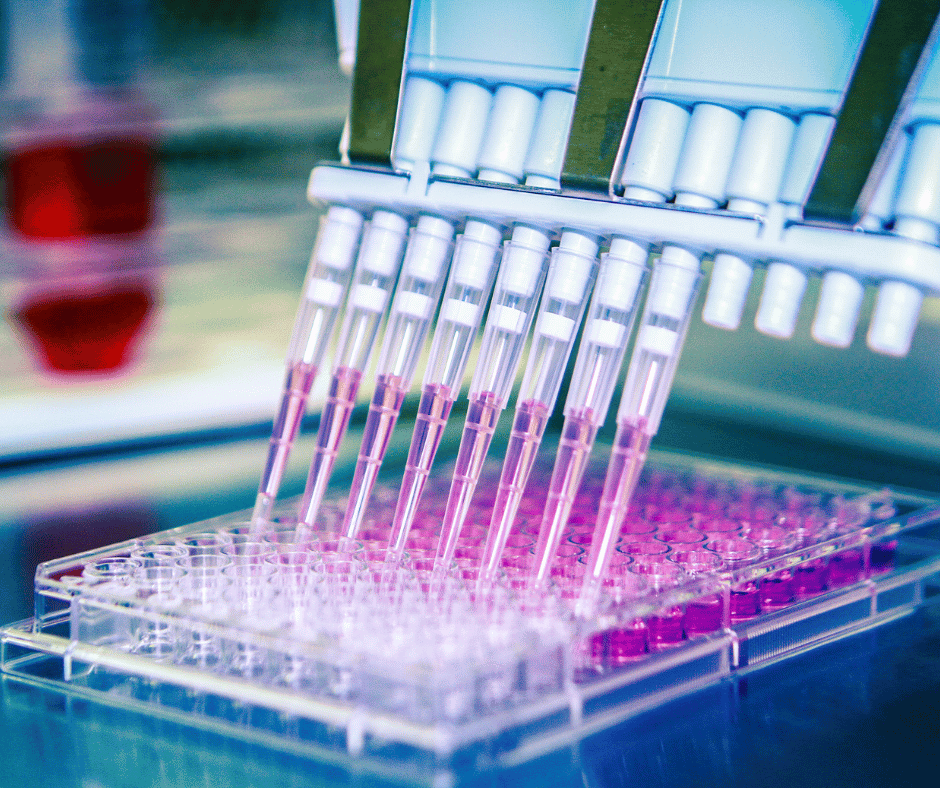 Certificate Course in Cell Culture: Bridging Theory and Practice
